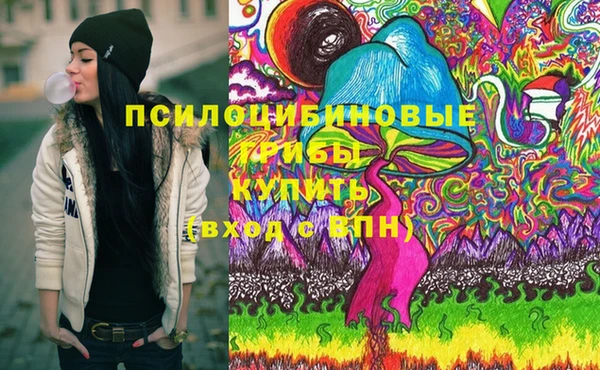 МДПВ Верея