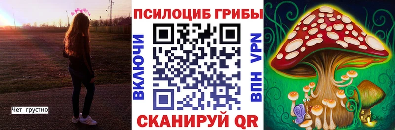 мориарти как зайти  Славянск-на-Кубани  Галлюциногенные грибы ЛСД  мега зеркало 